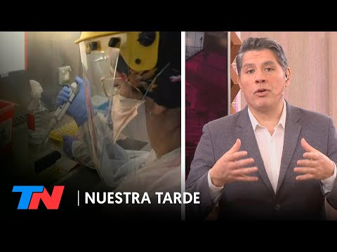 Coronavirus | Qué es y cómo funciona el suero hiperinmune argentino que ya prueban en pacientes