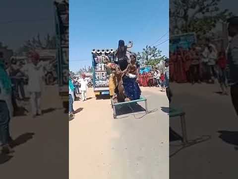 Funny animal billi boli meow meow #shorts #animals #funny #camel #comedy