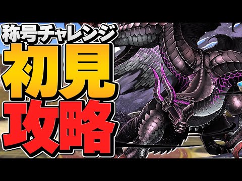期間限定！狩王称号を絶対ゲットしよう！CIELハンターで余裕攻略！【パズドラ】