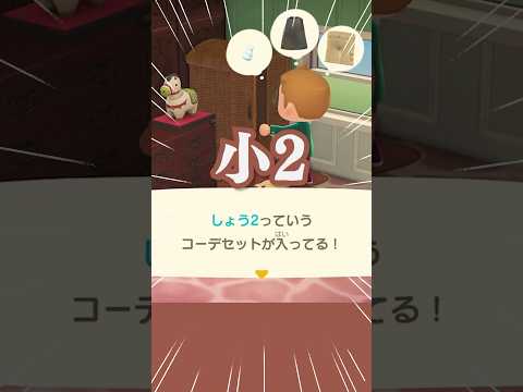 島民代表ちささこさん家の収納を勝手にのぞいてみた【あつ森】