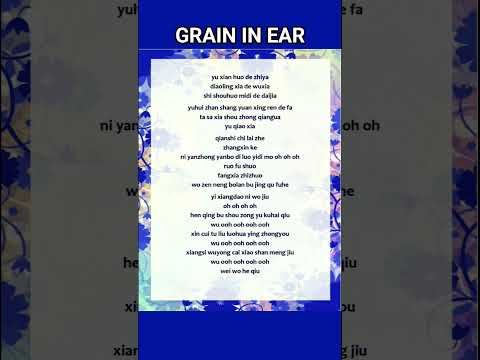Grain In Ear 🎶 🤍🤍🤍 #chinesesong #mangzhong #graininear #shorts #lyrics #lyricsong