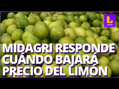 Precio del limón: Midagri responde cuándo empezará a bajar