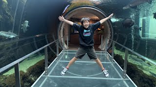 動画サムネイル