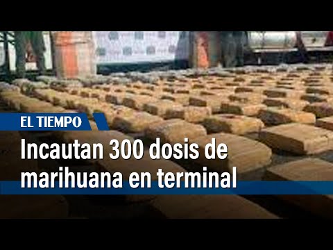 Policía capturó en Terminal de transportes a traficante con más de 300 dosis de marihuana| El Tiempo