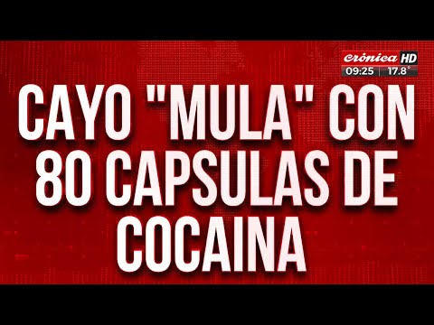 Cayó mula que intentó viajar a Europa con 80 cápsulas de cocaína en su cuerpo