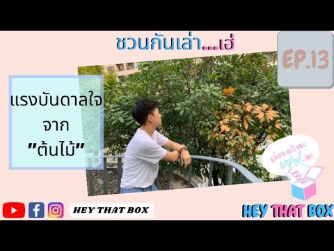 มุมมองพิชิตความเครียด-แรงบัน