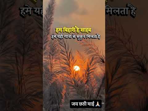 जय छठी मइयाँ 🙏🏻#chhathpujasong #chhathpuja #chhattisgarh #छठ