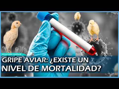 Gripe aviar A(H5N1): ¿Cuántas personas han muerto?