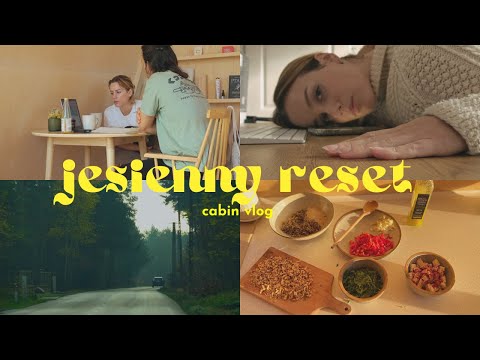 g o o d b y e and thank you  🍂