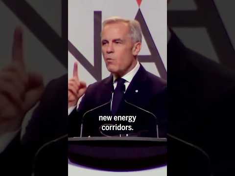 Carney jokes U.S. 'a little touchy' about election interference