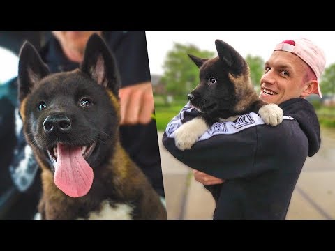 EnzoKnol