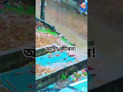 এটাই বাস্তবতা। #foryou #shorts #life #death #shortvideo