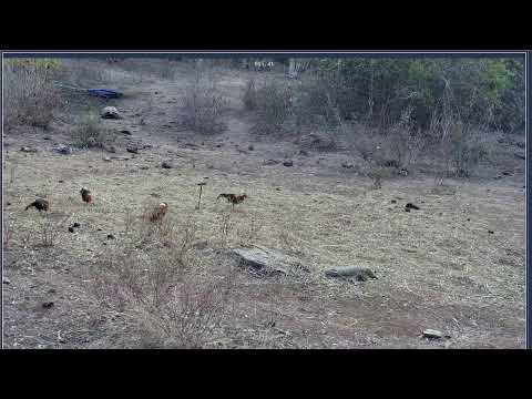 Ese lunessssssssssssssssss