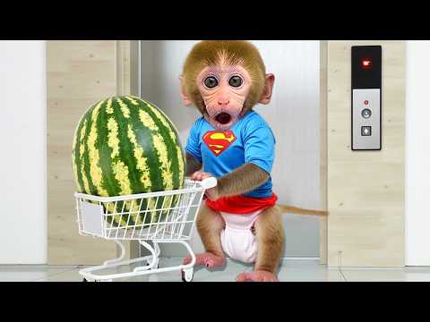 Bebé Mono BonBon Juega al Escondite en la Cueva y Va a Comprar Helado de Caramelo - MONO BONBON ESP