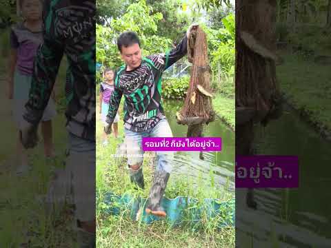วิถีชีวิตคนอีสานหาอยู่หากิน.. #คลองไส้ไก่ #automobile #เกษตรผสมผสาน #canal #nature #garden