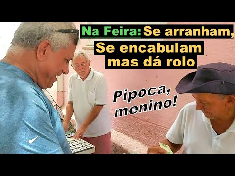 Essa feira de moedas é animada: Se arranham mas dá rolo