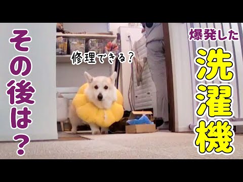 【爆発した洗濯機】何を洗濯したの？ & 修理業者に来てもらった結果は！？