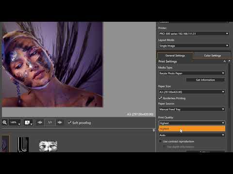 Professional Print & Layout Entry Level