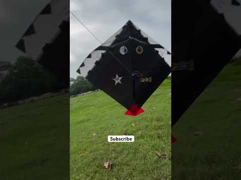 Beautiful kite #viralvideo #dillikiteclub #kiteflying #subscribe #kiteground #monokitefighter