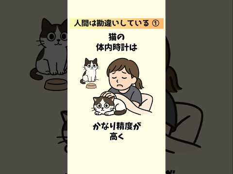 猫の動画サムネイル - 【猫目線の本音】我々人間は完全に勘違いしていた…！猫好きさんへ贈る20の猫の真実① #猫 #雑学 #豆知識 音声「VOICEVOX：ずんだもん」さん