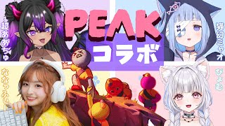 〖 #peak 〗スト鯖で出会った女の子ズで山登りコラボ🏔✨ かっこいいところ見せる😼┊︎/w超ああちゅチャン  /wななっふぃーチャン /