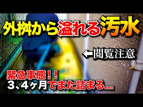 3、4ヶ月でまた詰まる！？緊急事態！外桝から溢れるトイレ排水の原因とは！？【花のお掃除 #481】