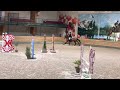 Show jumping horse __  SUPER JUMPER PROSPECT  __