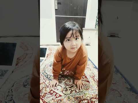 i love bird viral sound