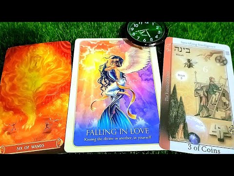 Thế Cờ Lật Ngược Nhanh Chóng Và Bất Ngờ Tới Mức Bạn Mắt Chữ A Miệng Chữ O😯🙀😻🐳🐋🐬🦭🐟🐠🦈🐙🦀🦞🦐🦑🐚🪸🪼🌲🌳🌴🌵🌿☘️🍀🪴