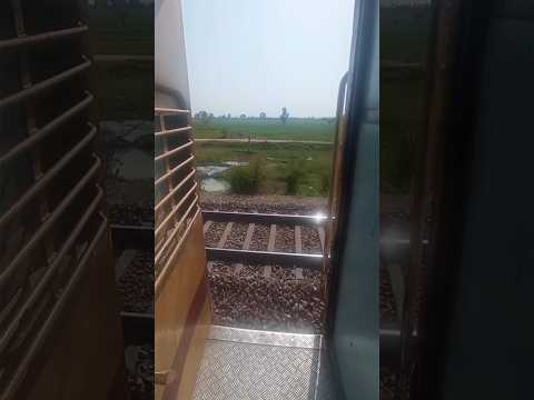 रेल सफर किस-किसको पसंद हैं ?😍 #shorts #trending #trainjourney #safar #viralvideo