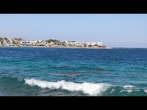 لايف جديد من بحر دهب في سيناء