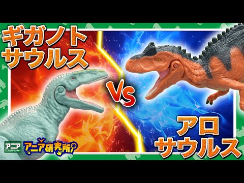 【アニア研究所】#21「新しいアニア恐竜が登場！ギガノトサウルス＆アロサウルス」【タカラトミー公式】