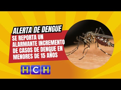 Se reporta un alarmante incremento de casos de dengue en menores de 15 años en Lempira