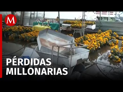 Inundaciones en Xochimilco causan pérdidas millonarias a productores de plantas