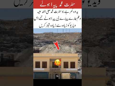 hazrat Muhammad sallallahu alaihi vasllam birthday training videos 📷📸#shortvideo #islami