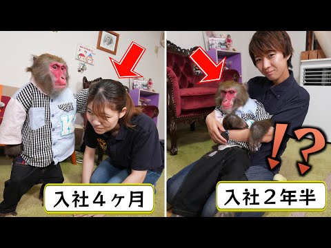 お猿さんは勤続年数によって態度がめちゃくちゃ変わって面白いんです