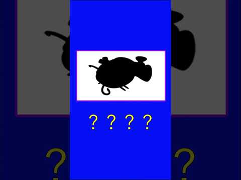 thumbnail_mViRT3eLfeI