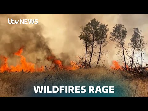 Wildfires in Europe: Flames rage across Greece, Turkey and eastern parts of the continent | ITV News