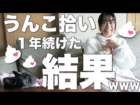 【ドン引き覚悟】うんこ拾いを１年続けてたどり着いた驚きの境地