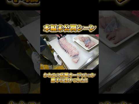 かねこのオーディション、勝手にやってみた！ #へんな魚おじさん #オーディション #きまぐれクック