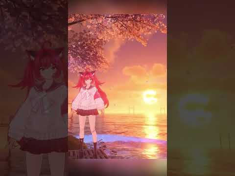 ただ、夕暮れを眺める動画【NTE】