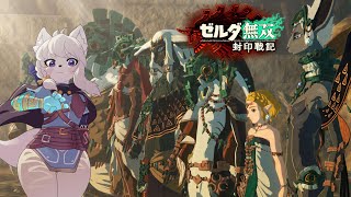 【#ゼルダ無双封印戦記 】ゼルダがしっかり主人公！ティアキンの時のゼルダの頑張りを追体験だ！！【完全初見/コメント大歓迎！】