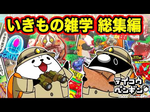 テイコウペンギン 生き物雑学回 15選【総集編】
