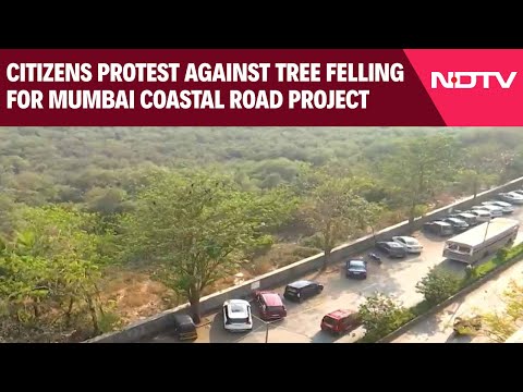 Mumbai Coastal Road | Residents Protest Against Tree Felling For Mumbai Coastal Road Project