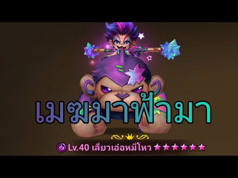 รีวิวลิงมืด(ลิงมอย)เมฆมาฟ้ามา