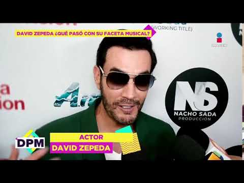 ¿Qué pasó con la faceta musical de David Zepeda?