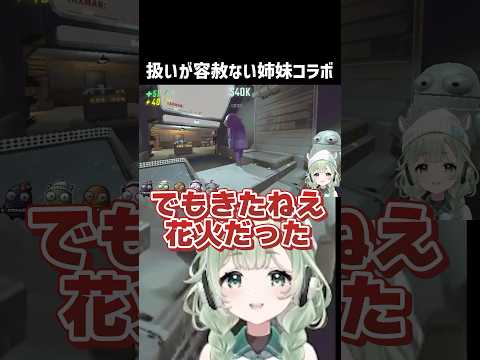 【切り抜き】扱いが容赦ない塩かずのこ家姉妹コラボ #shorts #VTuber #菜鳥ひなた #塩かずのこ家 thumbnail