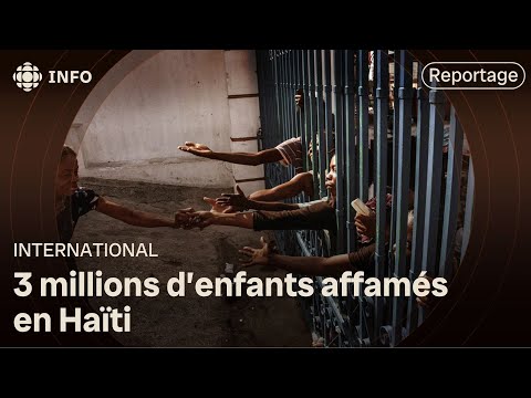 En Haïti, 3 millions d'enfants affamés par la violence des gangs