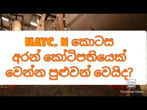 is haycarb company good investment opportunety to invest in srilankan share market?