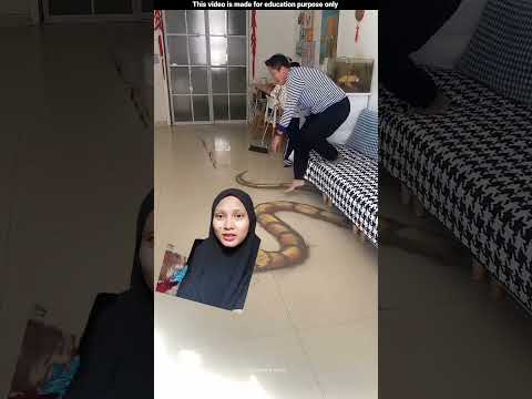 Ular Besar‼️#trendingshorts